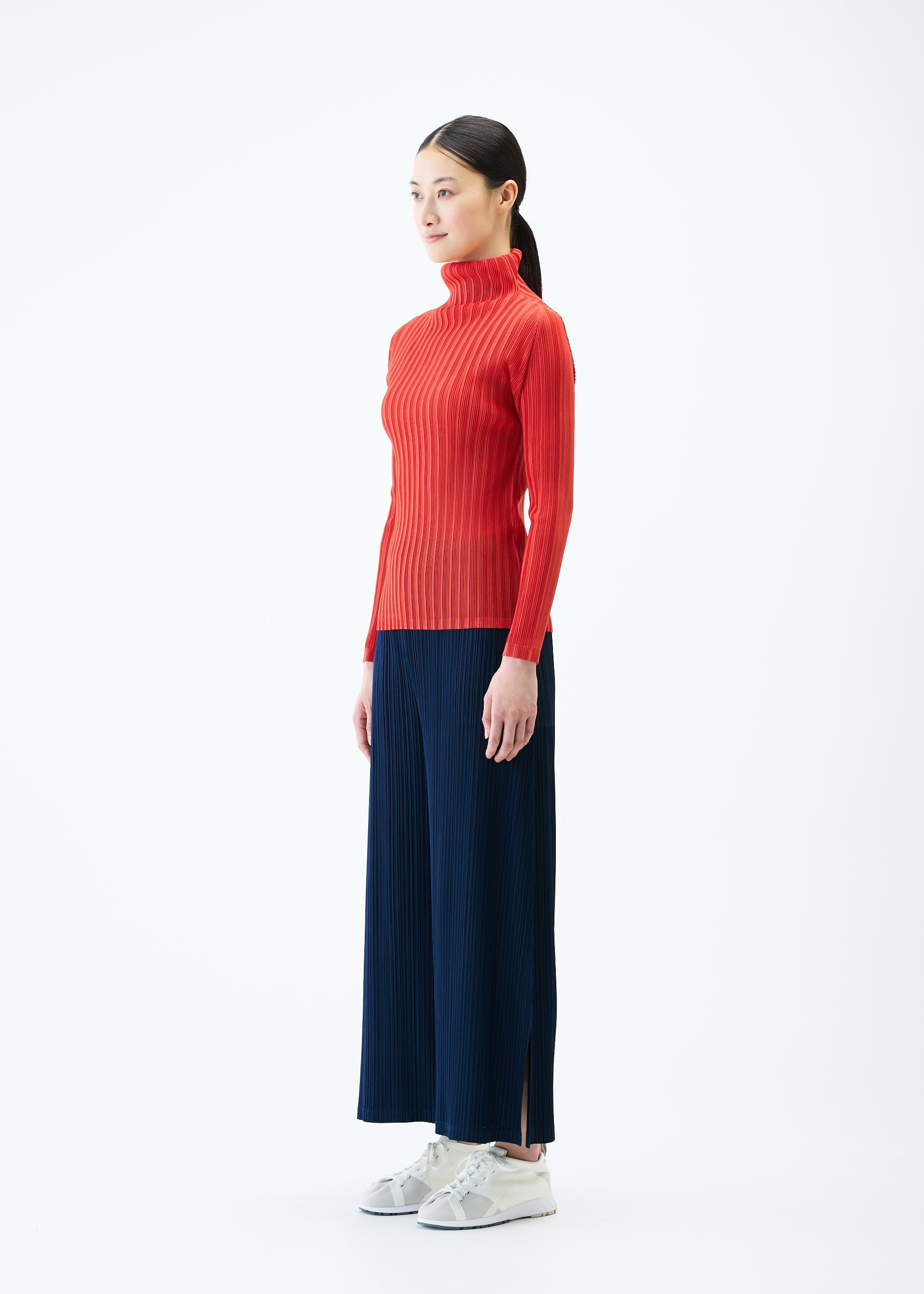 Zoomed view RIB PLEATS FEBRUARY