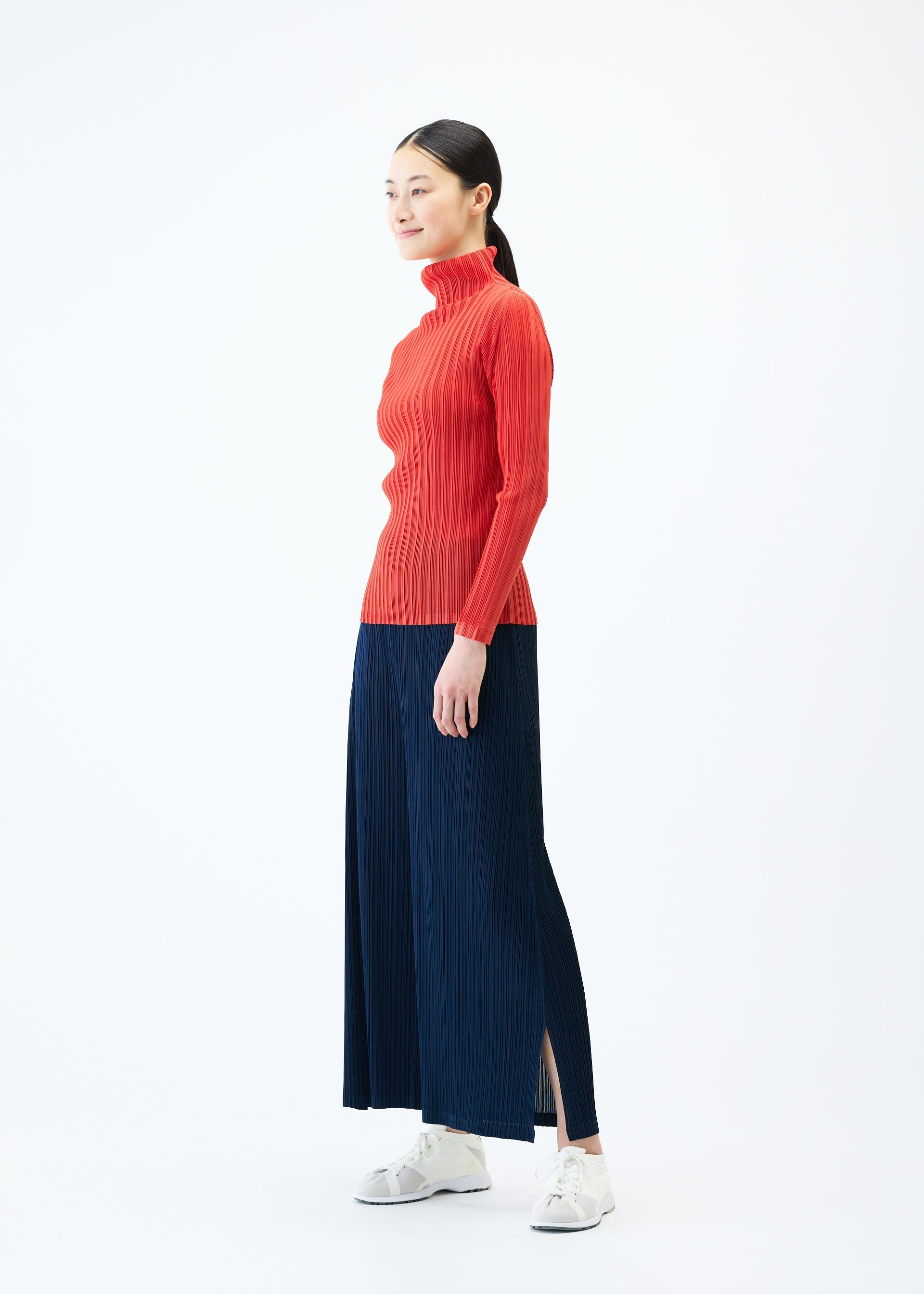 Zoomed view RIB PLEATS FEBRUARY