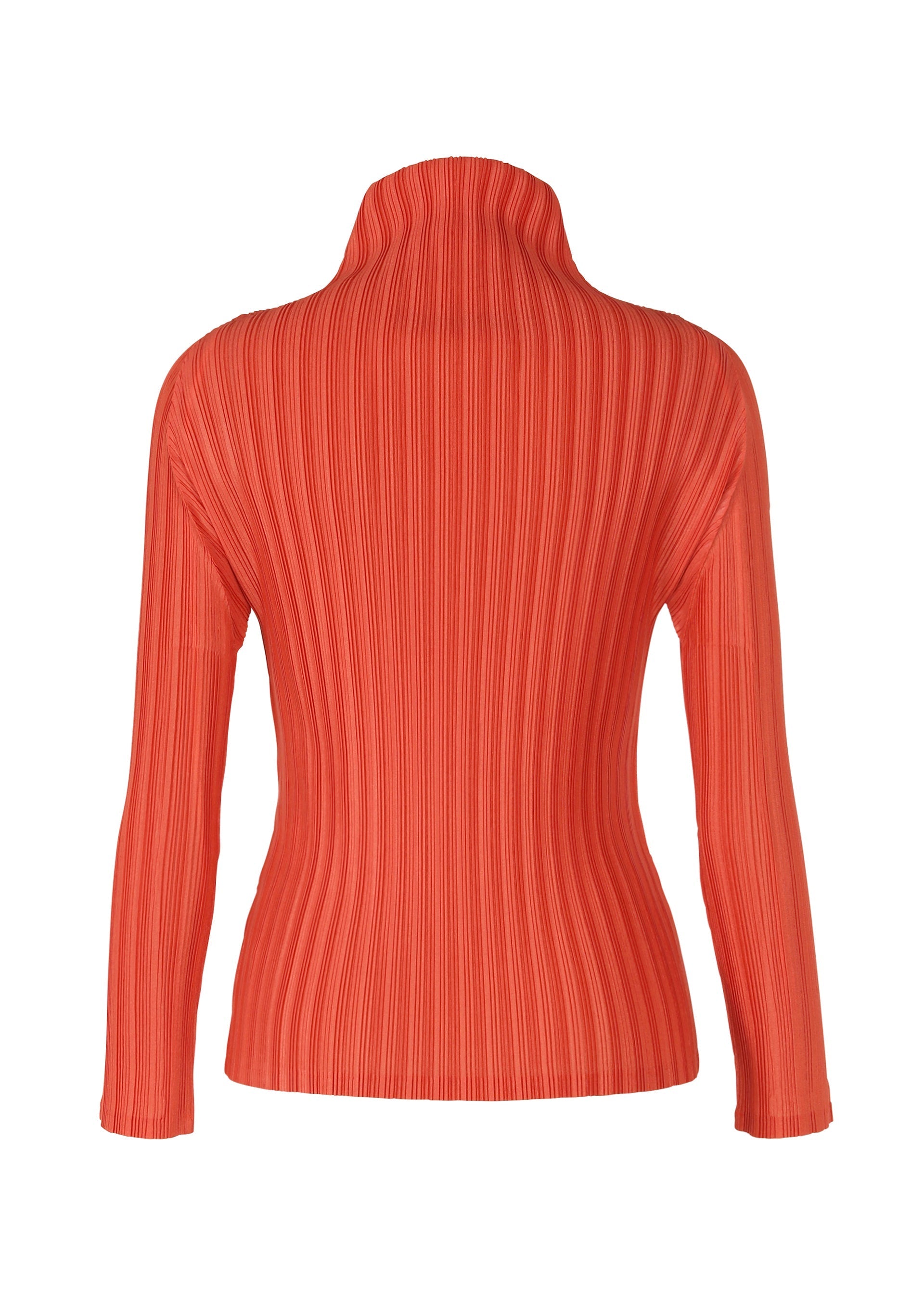 Zoomed view RIB PLEATS FEBRUARY