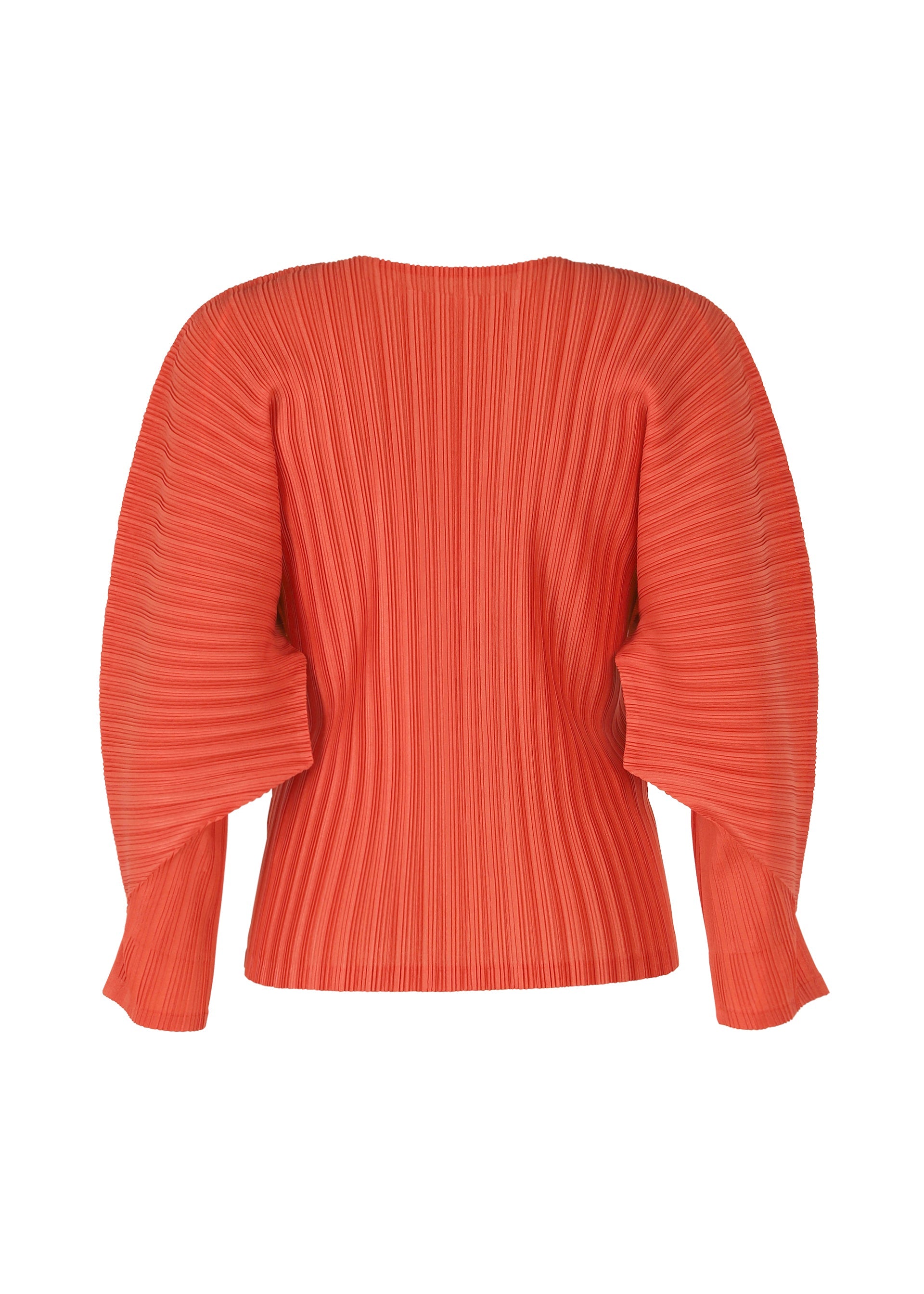 Zoomed view RIB PLEATS FEBRUARY