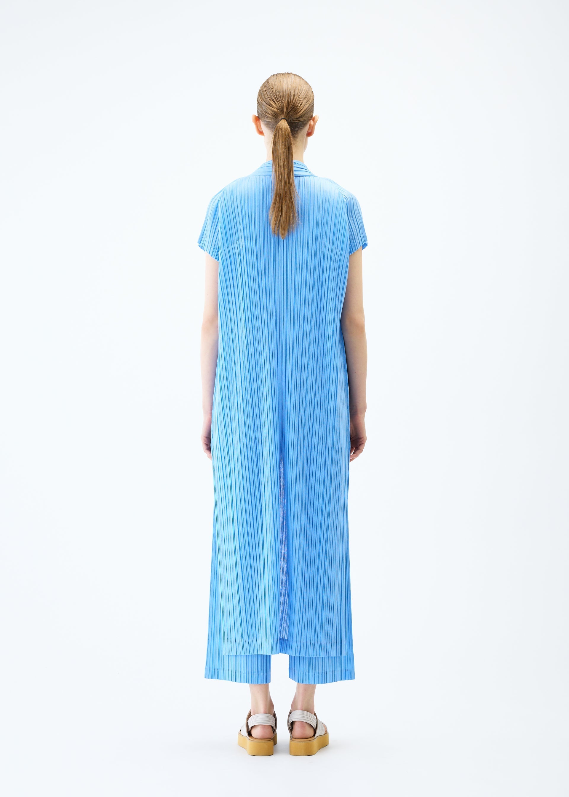 Zoomed view RAMIE PLEATS