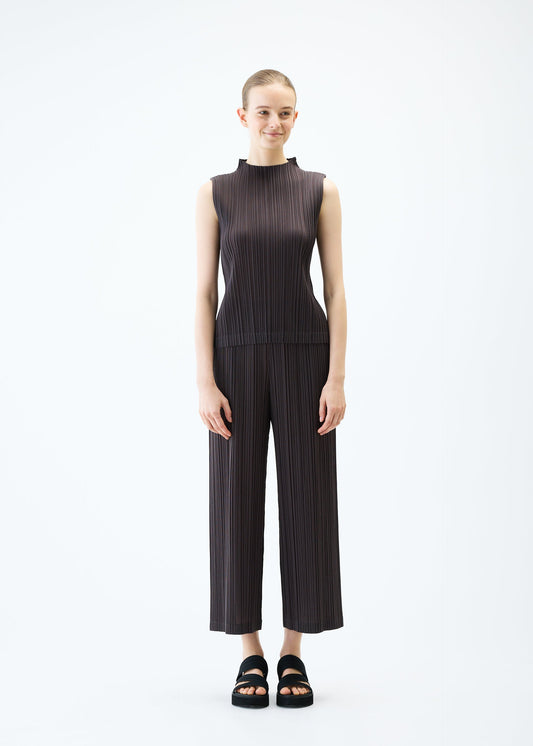 RAMIE PLEATS view 2