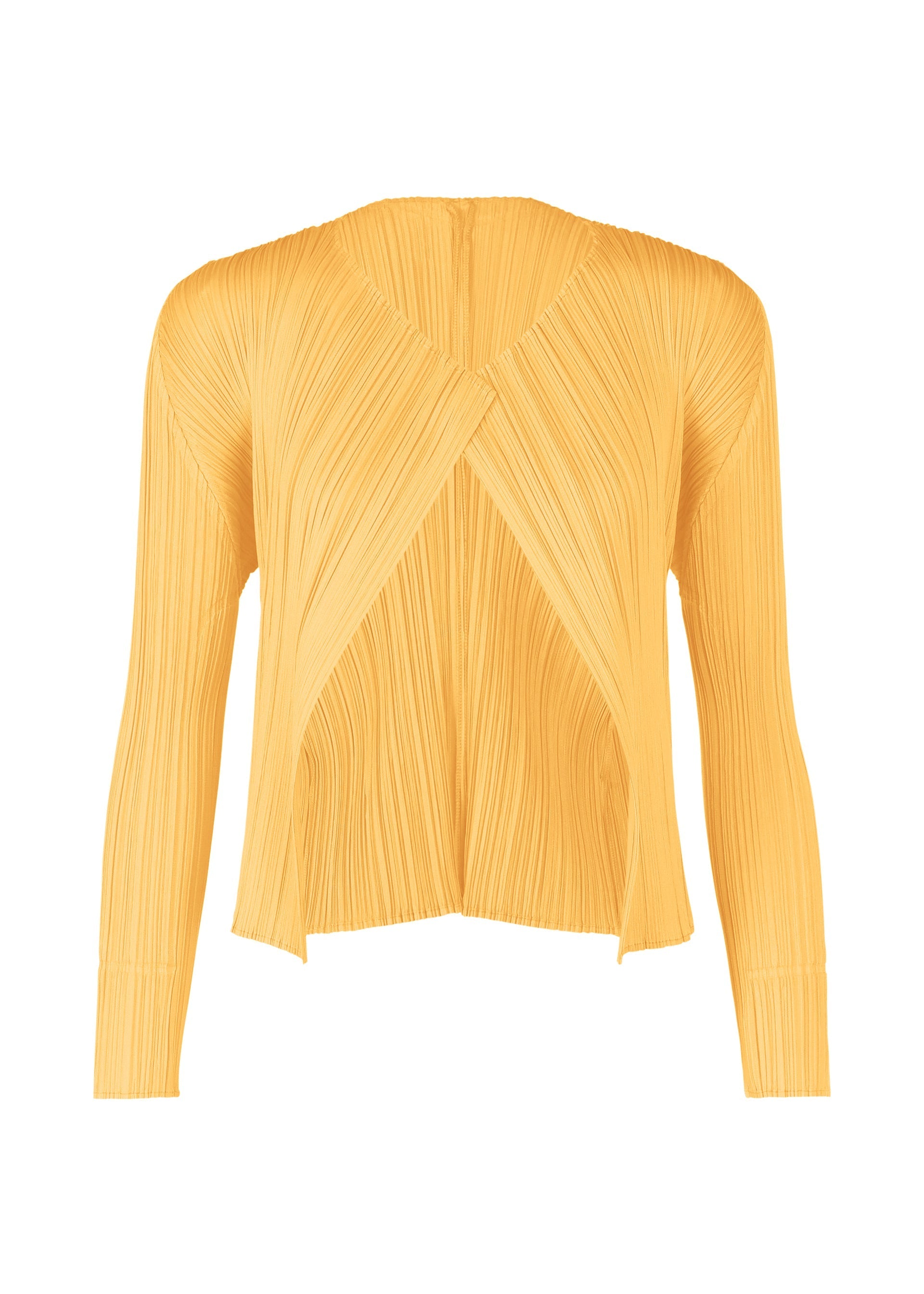 Zoomed view MONTHLY COLORS : MARCH - APRICOT YELLOW(no.30)