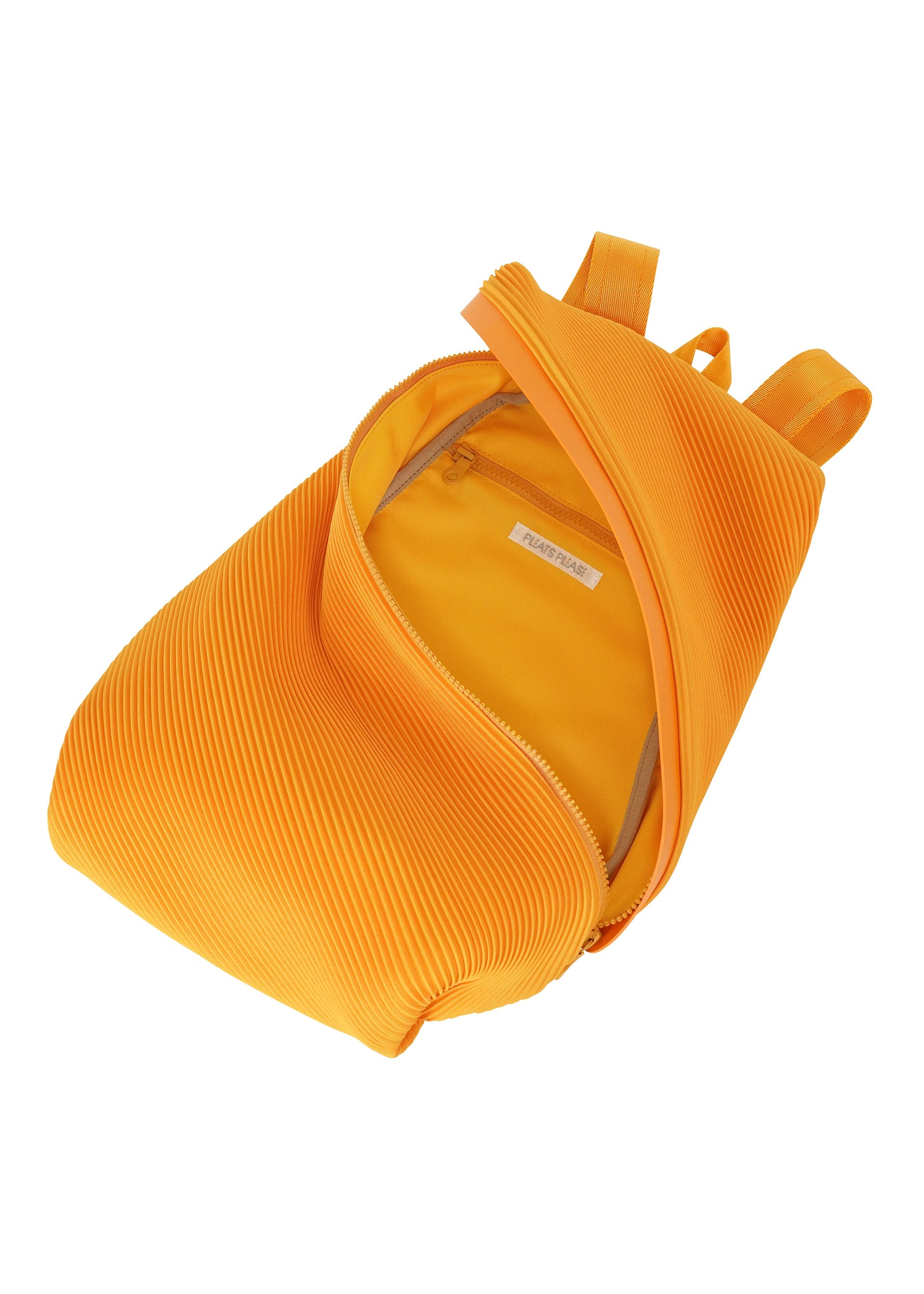 Zoomed view BIAS PLEATS BACKPACK