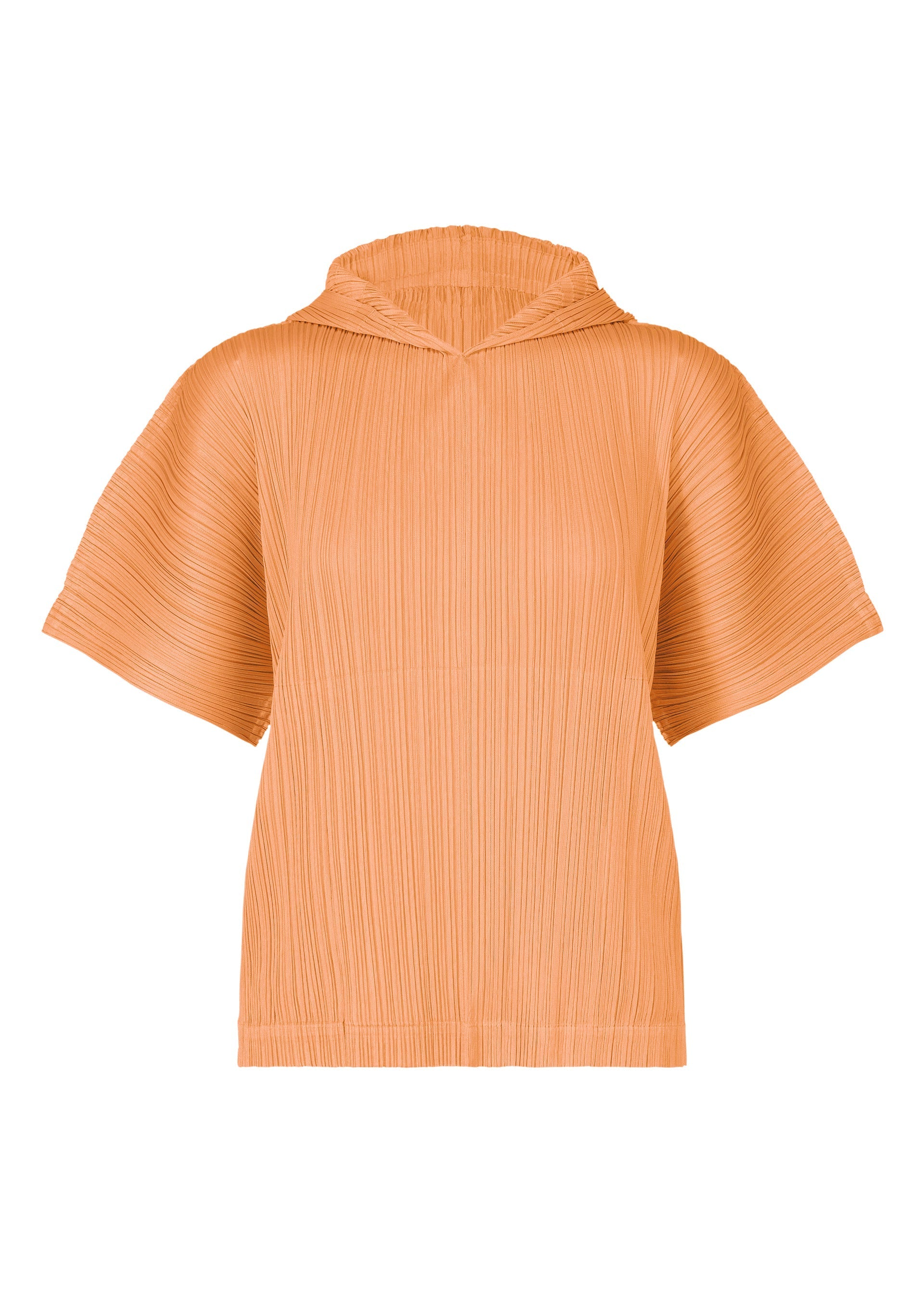 Zoomed view MONTHLY COLORS : AUGUST - CORAL ORANGE (no.31)