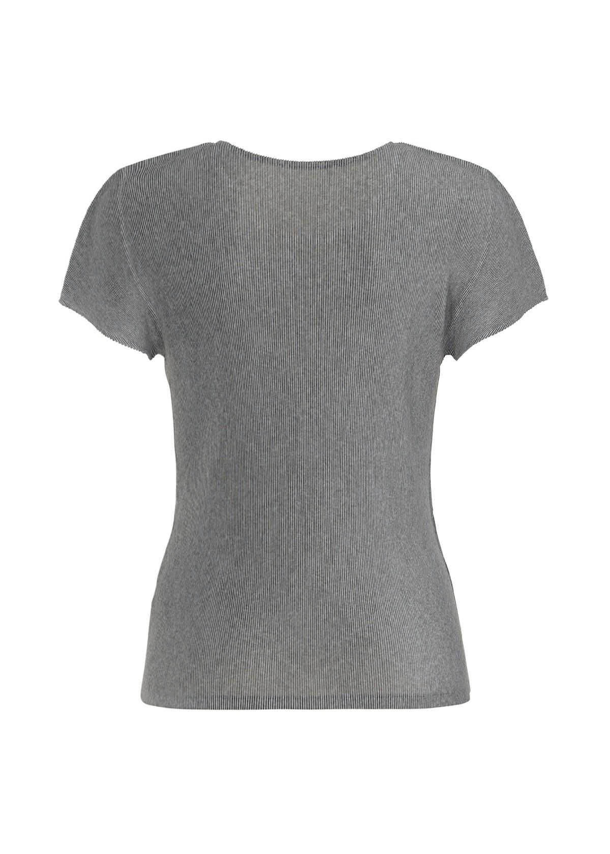 Zoomed view MIST BASICS