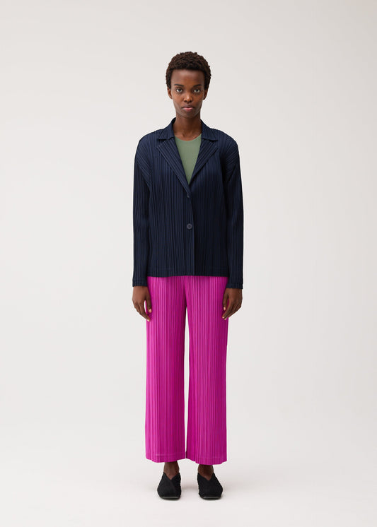 PLEATS JACKET view 2