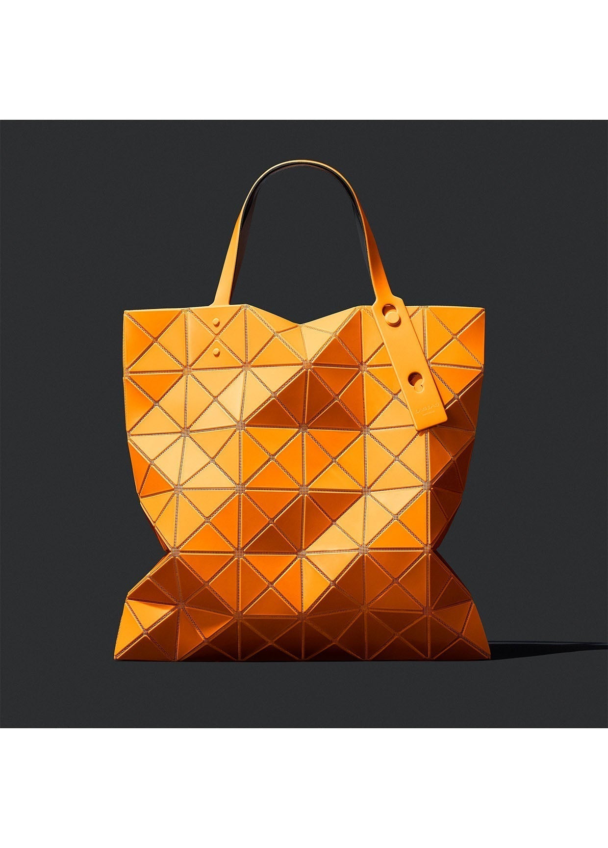 BAO BAO ISSEY MIYAKE LOOK 40