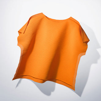 FRAME MESH PLEATS