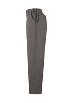 The TYPE-S 003 pants by A-POC ABLE ISSEY MIYAKE feature gray pinstripes, a lightweight stretch fabric, elastic waistband, relaxed loose fit, gathered waist detailing, and side pockets. Seen from the side.