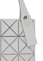 PRISM PLUS