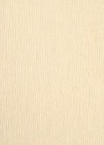 Beige textured surface with subtle, wavy vertical lines creates a natural pattern inspired by traditional weaving, echoing soft ripples—reflecting the KYO CHIJIMI ITAJIME by HaaT.