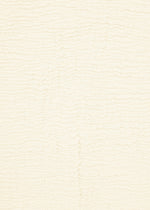 Beige textured surface with subtle horizontal wavy lines, similar to the organic pattern seen on HaaT’s KYO CHIJIMI 2WAY JANUARY 1 top crafted with garment dyeing techniques.