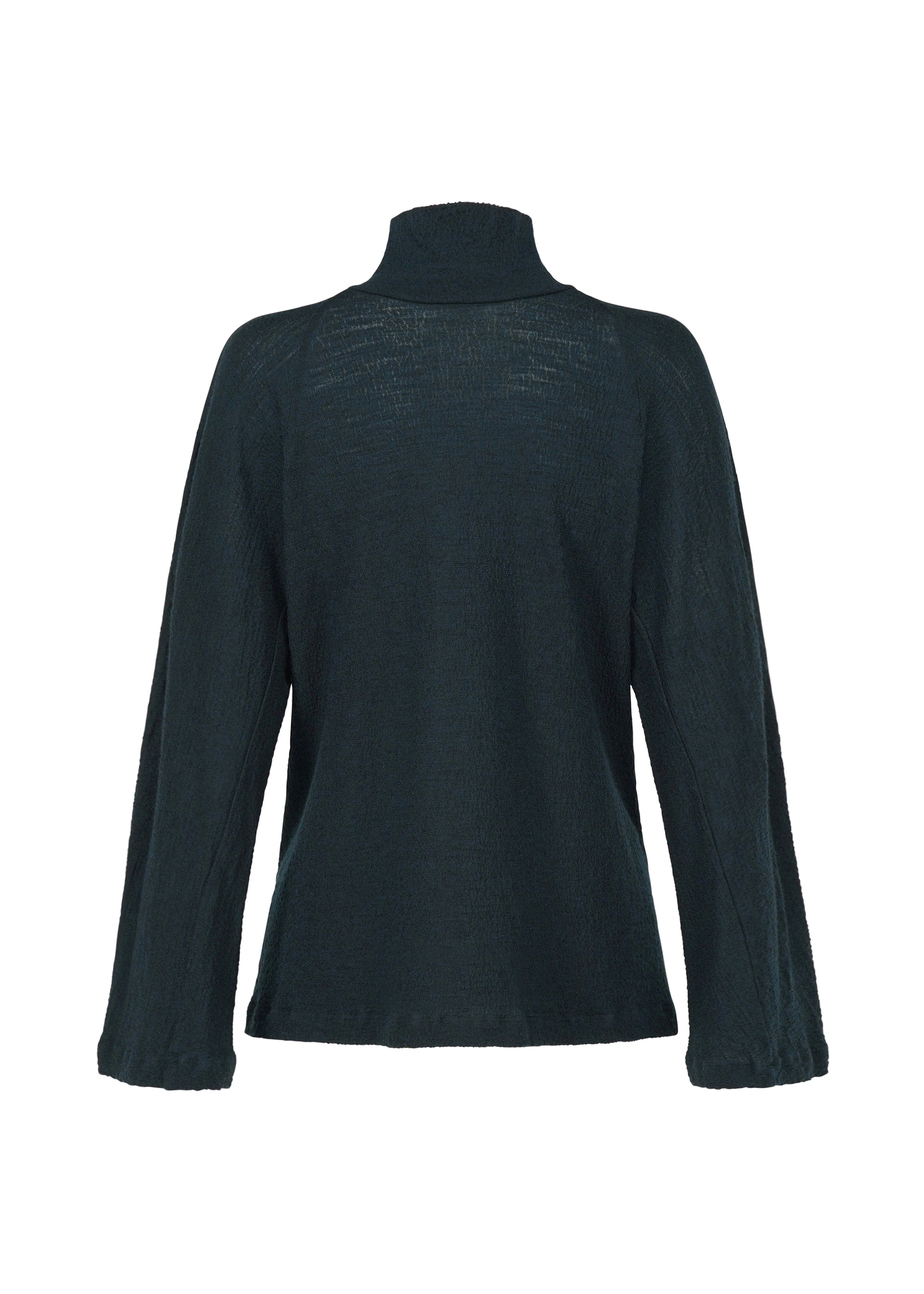 Zoomed view The TRI COLOR WOOL top by HaaT is a dark, long-sleeve, high-neck merino wool piece shown from the back on a white background. Its fabric looks soft and slightly sheer with a relaxed fit.