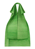 RB_ALL OVER PLEATS BAG