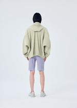 TAILORED PLEATS 2