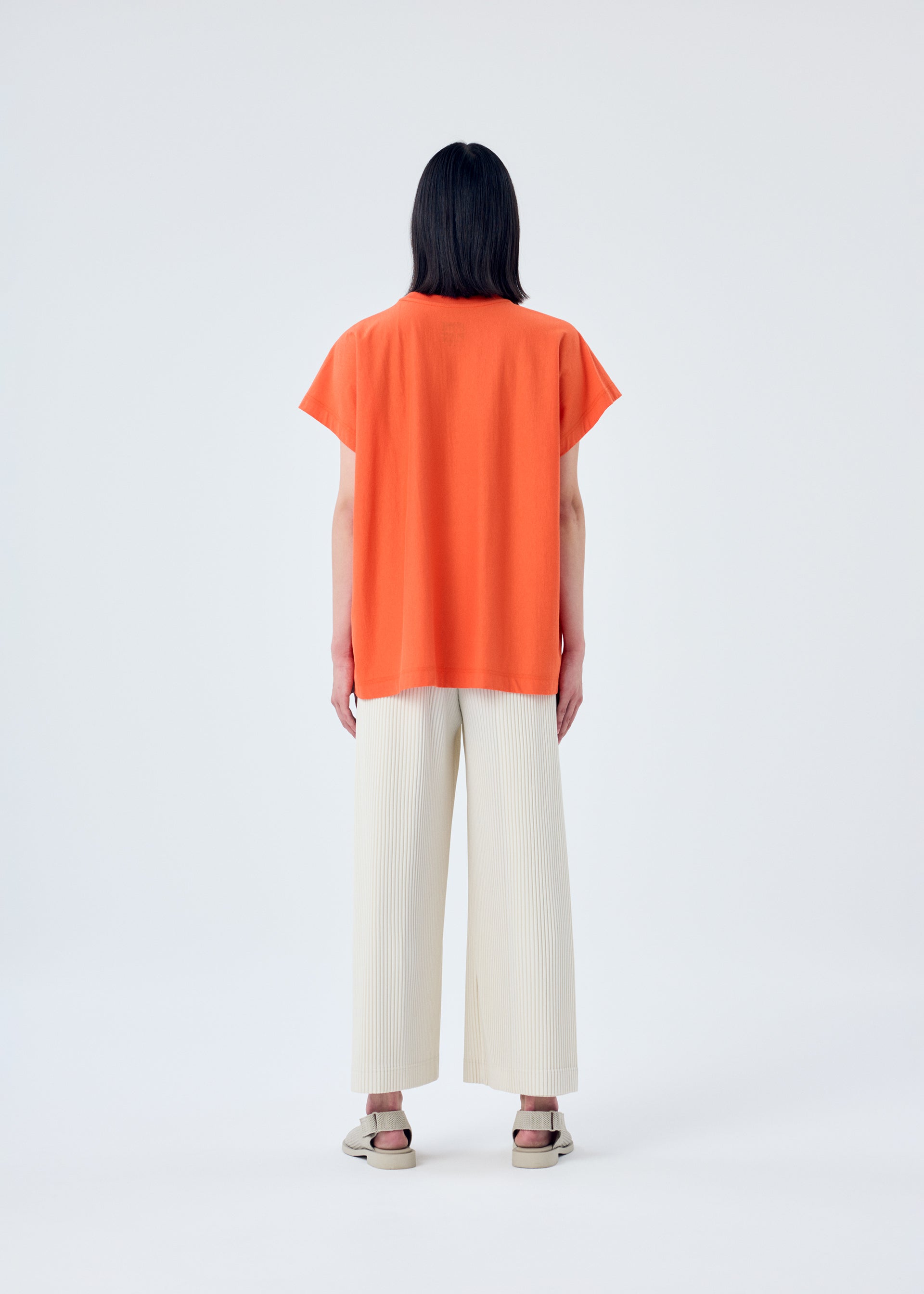 RELEASE-T 2