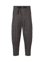 PADDED PLEATS, Men's Pants, Gray - CHARCOAL （no.14）