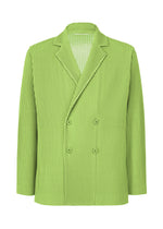 TAILORED PLEATS 1