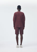 COLOR PLEATS