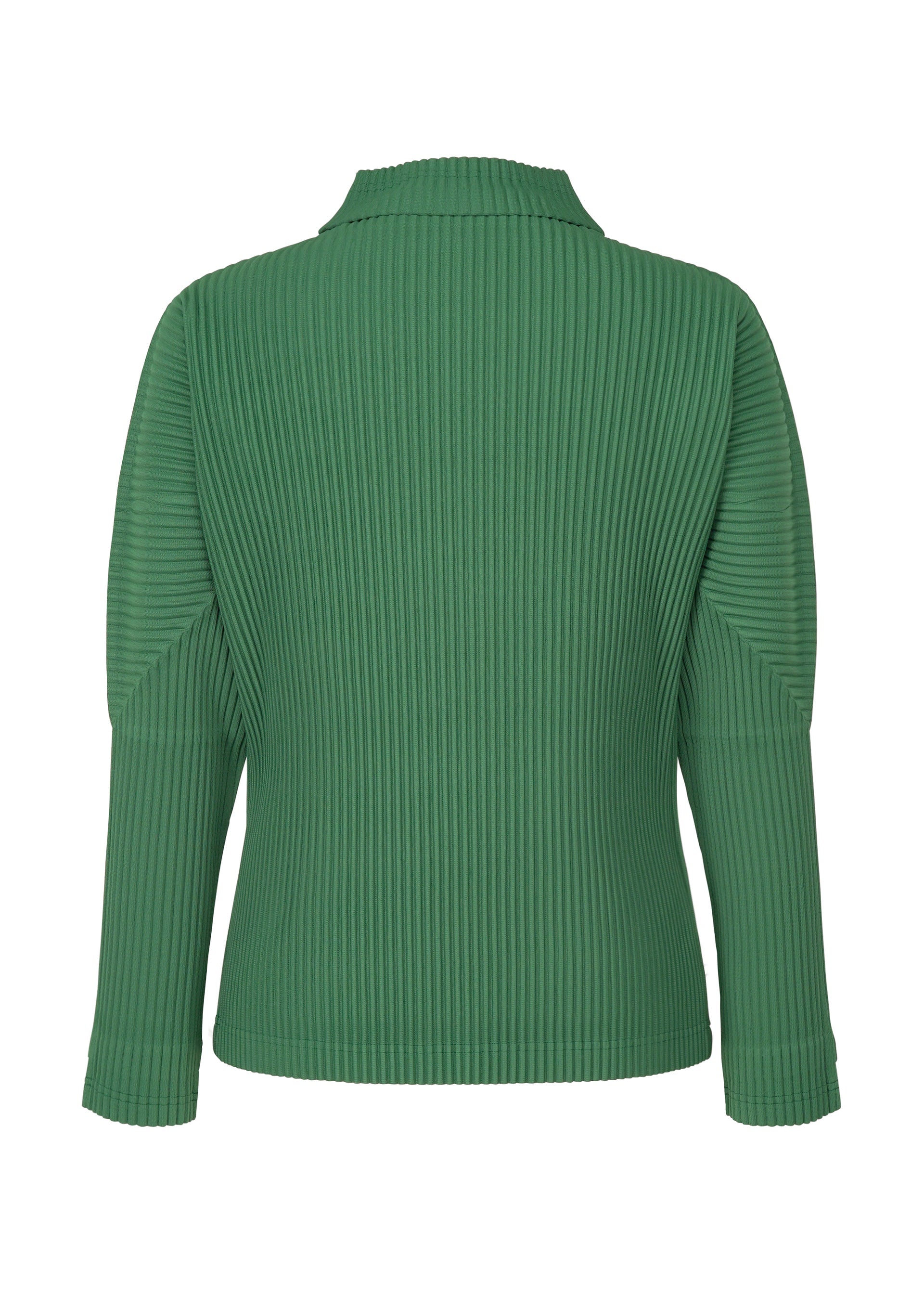 Zoomed view MONTHLY COLORS : NOVEMBER