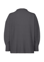 The MONTHLY COLORS : DECEMBER top by HOMME PLISSÉ ISSEY MIYAKE is a dark gray, long-sleeved mock neck with a loose fit, vertical ribbed texture, and made from quick-drying polyester, shown from the back.
