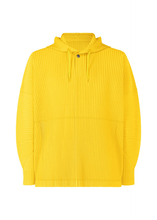 COLOR PLEATS
