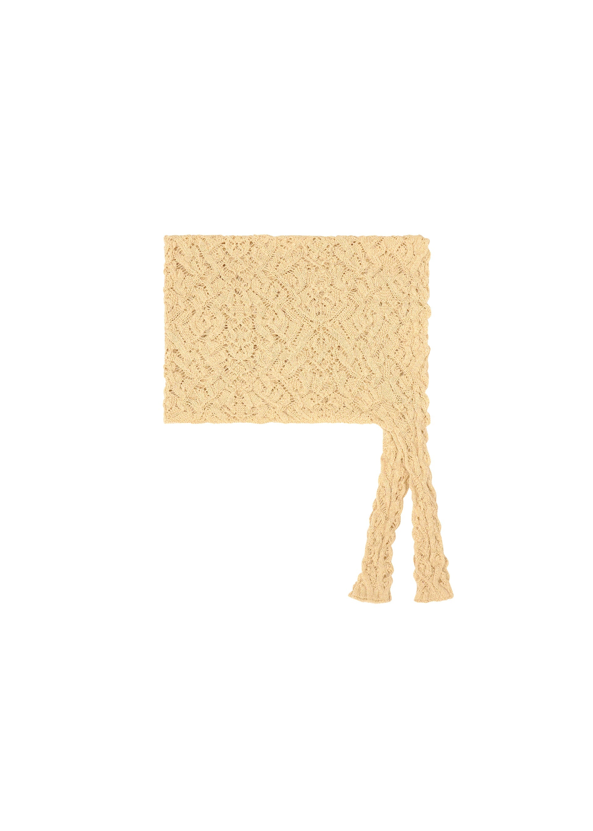 Zoomed view The BRANCHES & LEAVES scarf by HOMME PLISSÉ ISSEY MIYAKE, in beige with an intricate lacy knit, is shown laid flat on a white surface, one end elegantly draped down. - BEIGE （no.40）