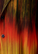 Close-up of the PAINT BRUSH CLOSE-UP jacket from HOMME PLISSÉ ISSEY MIYAKE, featuring pleated fabric with a gradient from dark green to yellow, orange, and bright red, and a double-breasted design with two dark buttons on the left.