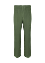 COLOR PLEATS 2