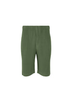 COLOR PLEATS 2