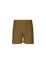The COLORFUL PLEATS BOTTOMS by HOMME PLISSÉ ISSEY MIYAKE are brown ribbed polyester shorts with an elastic waistband, quick-dry fabric, vertical pleats, and a simple fitted design. Displayed against a white background. - CT ROCK GREEN （no.66）