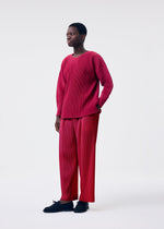 A person stands against a white background wearing the HOMME PLISSÉ ISSEY MIYAKE MONTHLY COLORS : JANUARY set—a red, ribbed, round-neck long-sleeve top and wide-leg pants with black shoes—for a relaxed, modern look.