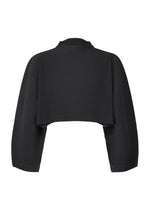 The COLOR PLEATS 1 by HOMME PLISSÉ ISSEY MIYAKE is a black, long-sleeved mock-neck crop top with pleated ribbed texture, embodying the brand's iconic style. - BLACK （no.15）