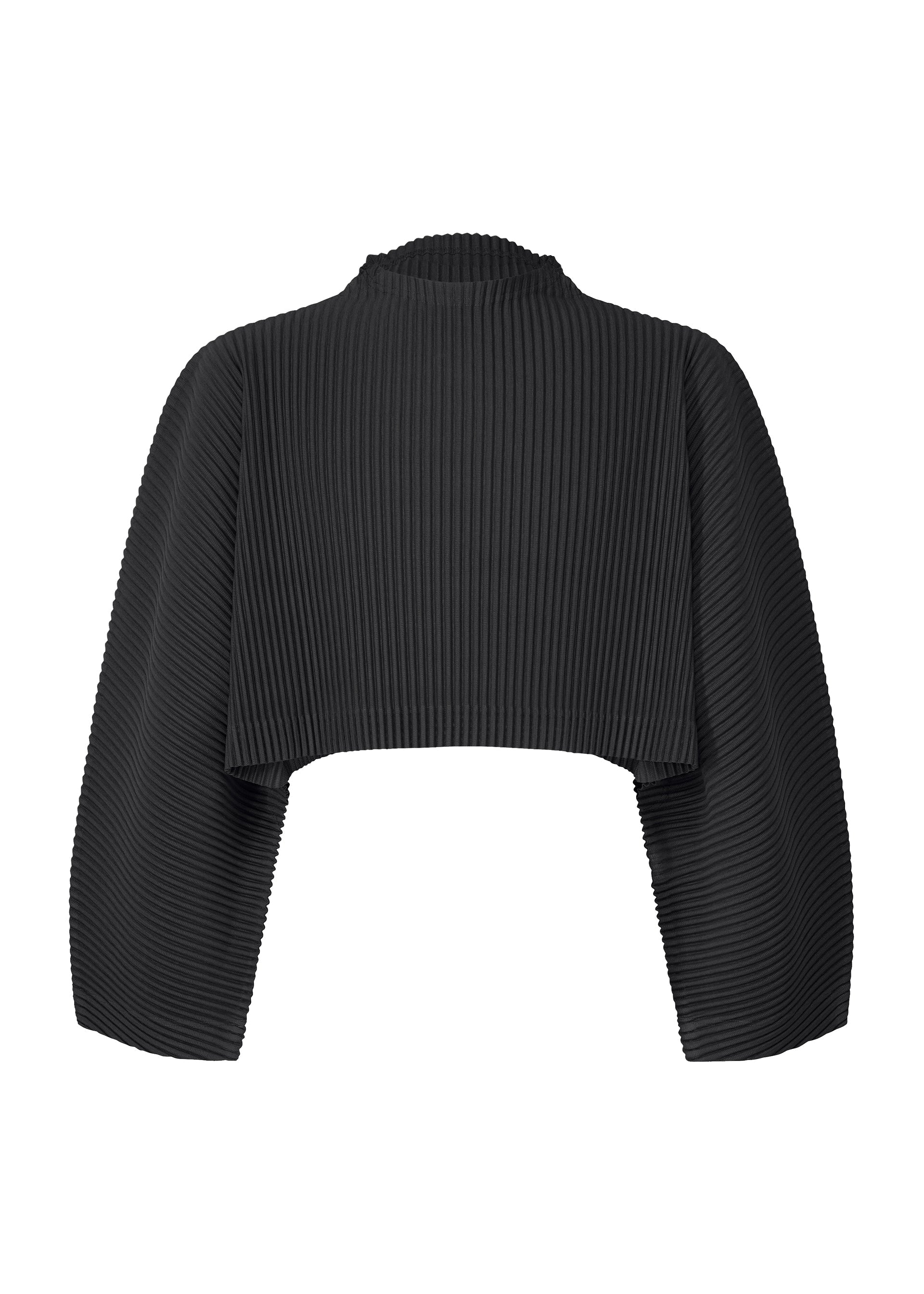 Zoomed view The COLOR PLEATS 1 by HOMME PLISSÉ ISSEY MIYAKE is a black, long-sleeved mock-neck crop top with pleated ribbed texture, embodying the brand's iconic style. - BLACK （no.15）