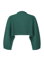 A green COLOR PLEATS 1 cropped jacket by HOMME PLISSÉ ISSEY MIYAKE, featuring pleats, a high neckline, wide draped long sleeves, and a mock-neck style, displayed on a plain white background.