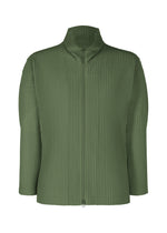 COLOR PLEATS 2