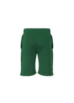 The BASIC KNIT shorts by HOMME PLISSÉ ISSEY MIYAKE are shown from the back, featuring an elastic waistband and two side pockets. Inspired by the pleated jersey shorts signature to the brand, these green knit shorts are displayed against a plain white background.