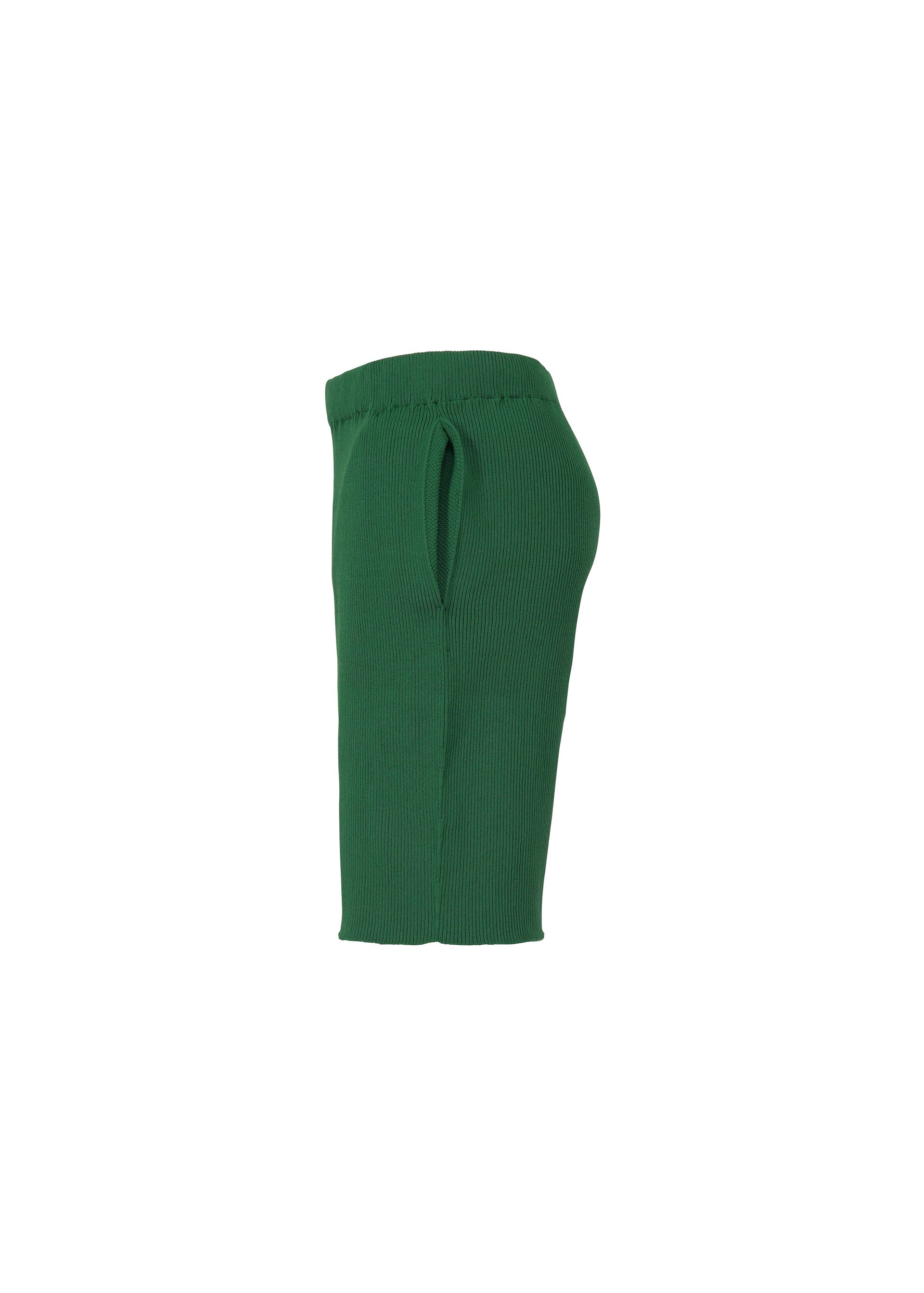Zoomed view The BASIC KNIT skirt by HOMME PLISSÉ ISSEY MIYAKE is shown in green ribbed knit from the side, featuring an elastic waistband and a side pocket. Displayed against a plain white background, its simple design reflects the modern versatility characteristic of the brand.