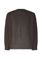 The BRUSH CLOSE-UP KNIT by HOMME PLISSÉ ISSEY MIYAKE is a sheer, long-sleeved crewneck top made from extra-long-staple cotton with ribbed cuffs and hem, shown against a white background. - BROWN （no.44）