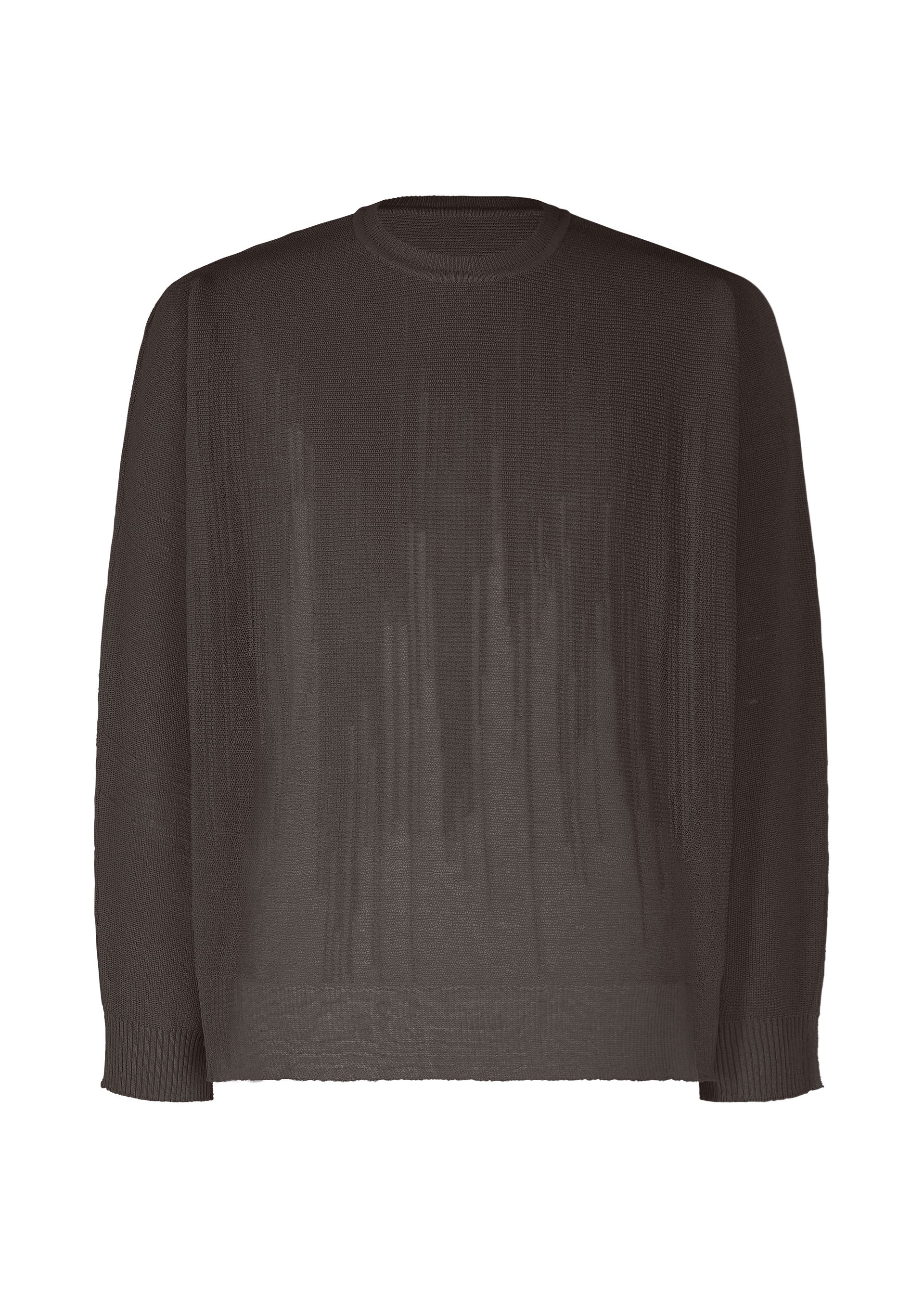Zoomed view The BRUSH CLOSE-UP KNIT by HOMME PLISSÉ ISSEY MIYAKE is a sheer, long-sleeved crewneck top made from extra-long-staple cotton with ribbed cuffs and hem, shown against a white background. - BROWN （no.44）