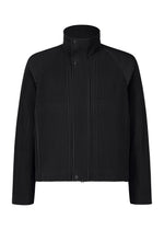 TAILORED PLEATS 1