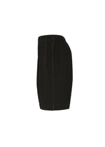 The MONTHLY COLORS : AUGUST skirt by HOMME PLISSÉ ISSEY MIYAKE is shown from the side against a white background. Crafted from quick-drying polyester, this black mini skirt features a straight fit with vertical pleats and an elastic waistband.