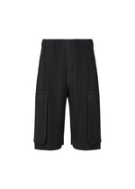 MONTHLY COLORS : SEPTEMBER by HOMME PLISSÉ ISSEY MIYAKE features black pleated polyester shorts with an elastic waistband and large flap pockets on each side, designed as quick-drying shorts and displayed against a plain white background. - BLACK （no.15）