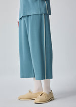 A person is wearing the EMBROIDERY STRIPES pleated wide-leg cropped pants and matching top by HOMME PLISSÉ ISSEY MIYAKE, paired with white socks and beige ballet flats. The photo focuses on the lower half of the body against a plain background.
