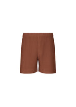 COLOR PLEATS 1 shorts by HOMME PLISSÉ ISSEY MIYAKE, featuring a brown ribbed design and an elastic waistband, made from quick-drying polyester and shown from the front against a plain white background. - DARKSIDE BROWN （no.45）