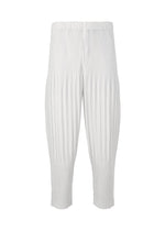 COLOR PLEATS 2