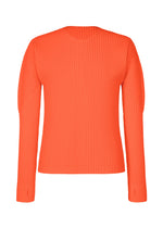 COLOR PLEATS 1