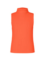 COLOR PLEATS 1