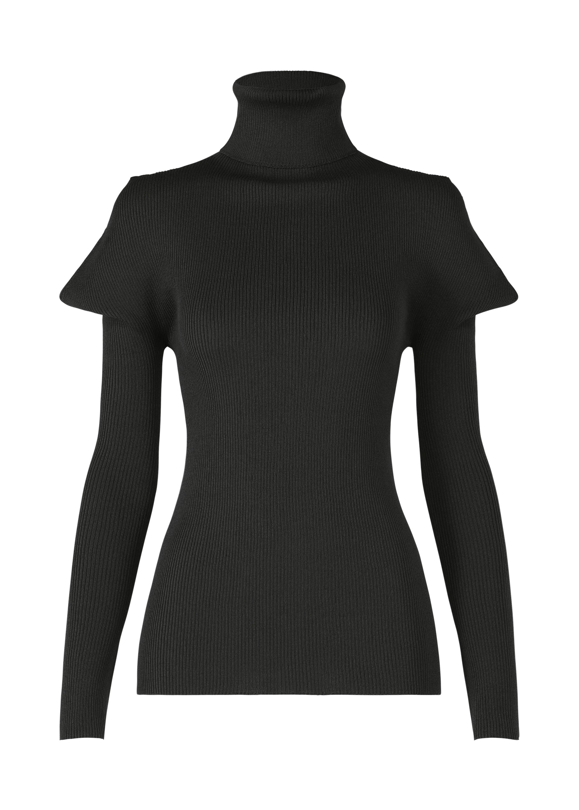 Zoomed view The FLAT RIB KNIT 1 by 132 5. ISSEY MIYAKE is a black, long-sleeve turtleneck sweater with structured shoulders and seamless rib knit, showcased on a plain white background. - BLACK （no.15）
